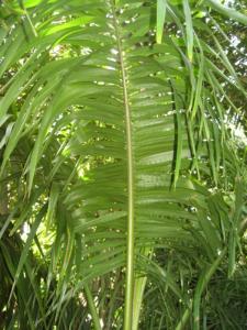 IMG_9629_smaller.JPG